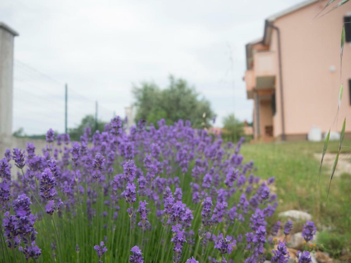 Apartment Lavandula Labin  Eksteriør billede